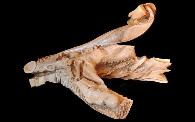 &laquo;&nbsp;Un Monde Fini&nbsp;&raquo;