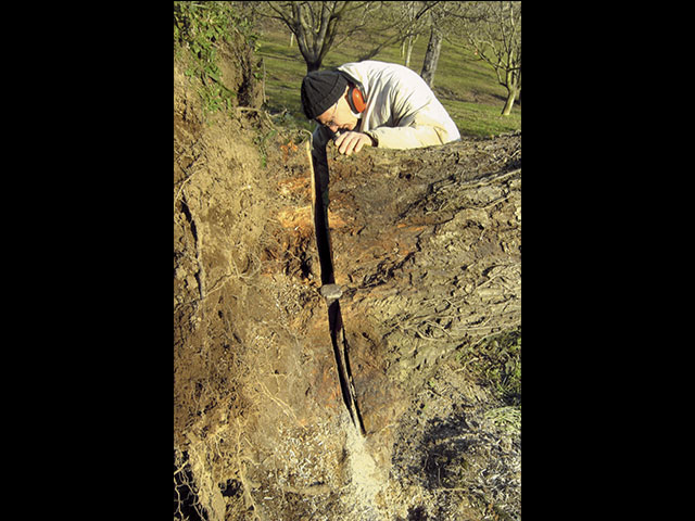 Examen de la bille de noyer